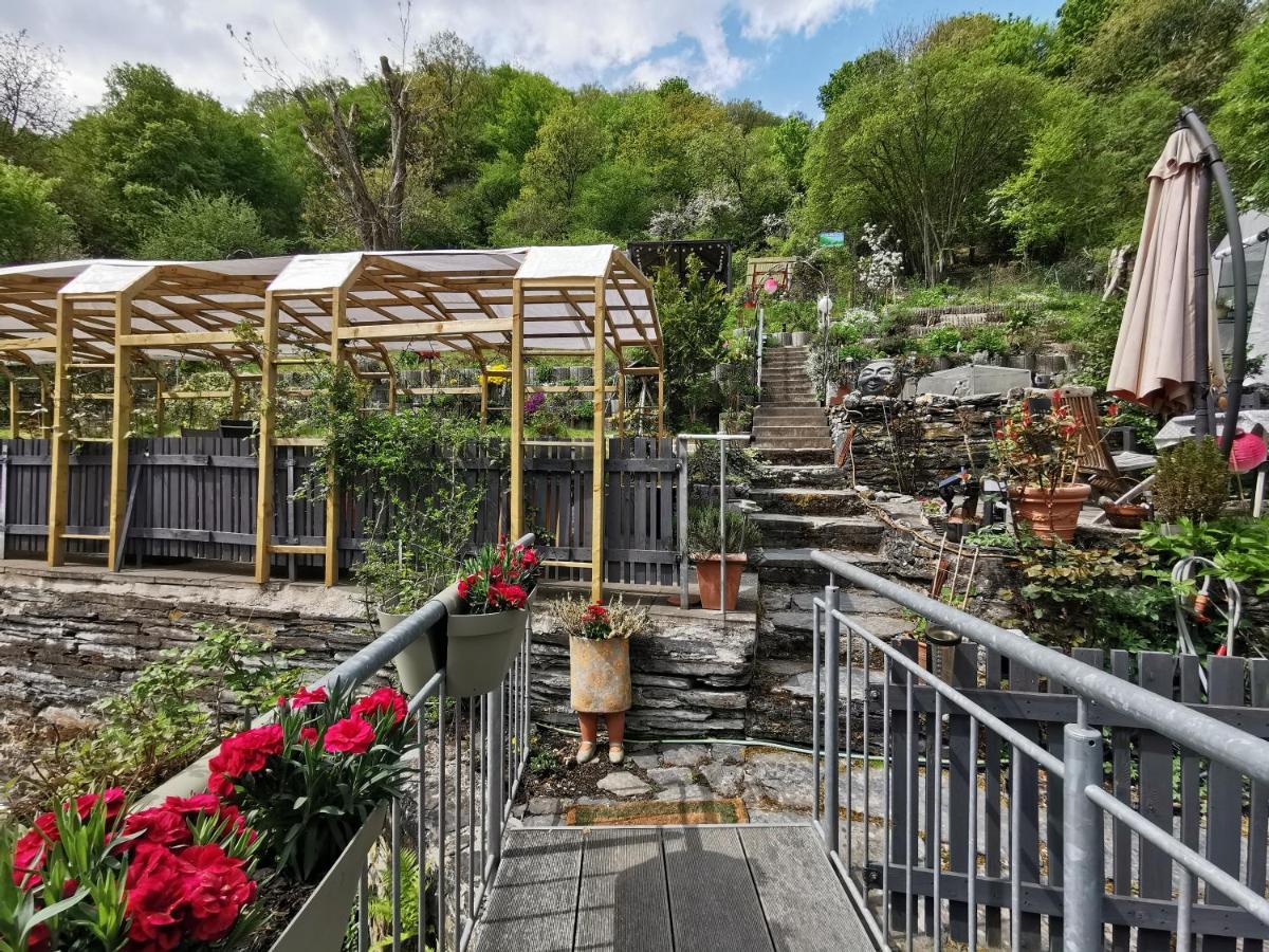 Bed&Breakfast_Einzelzimmer Sauerthal Экстерьер фото